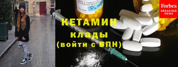 гашик Няндома