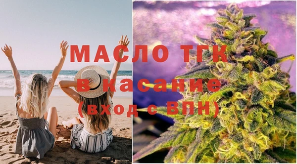 гашик Няндома