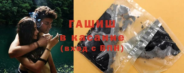 гашик Няндома