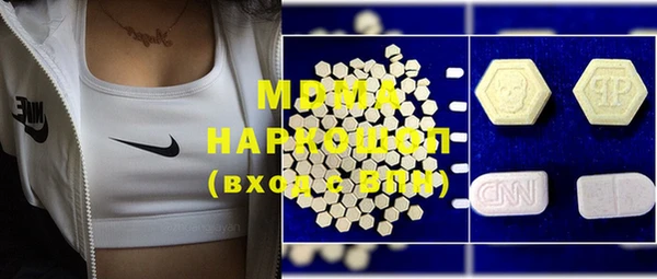гашик Няндома