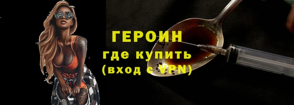 гашик Няндома