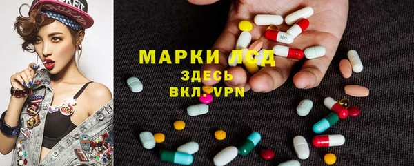 гашик Няндома