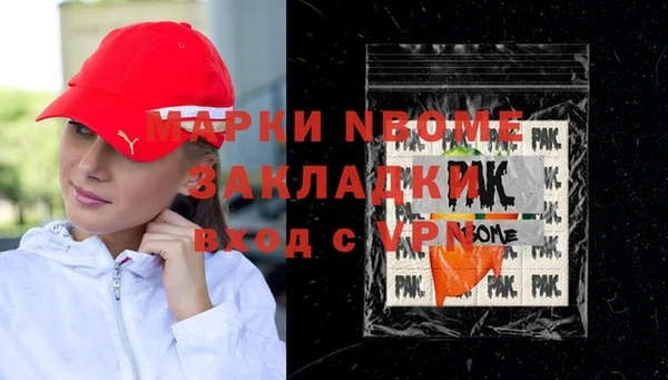 гашик Няндома