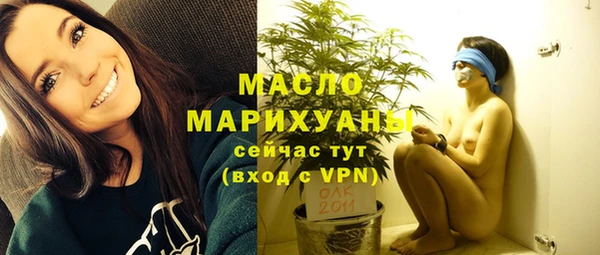гашик Няндома