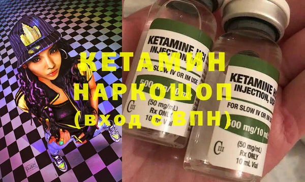 гашик Няндома