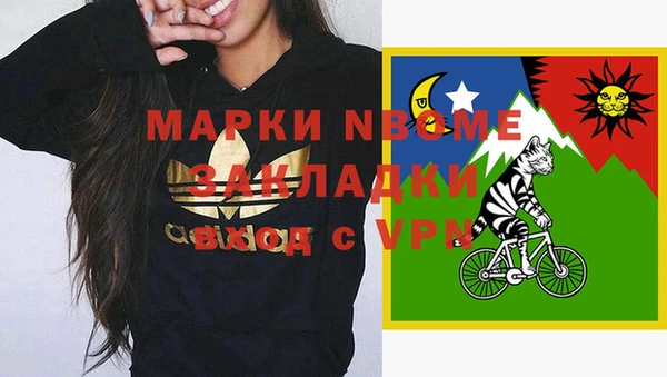 гашик Няндома