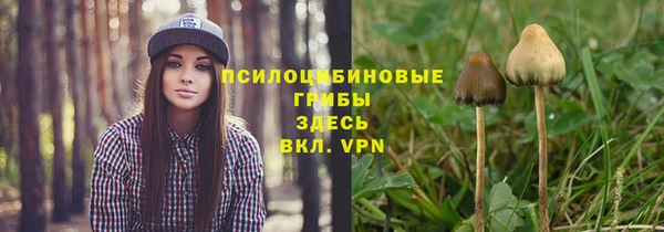 тгк Покачи
