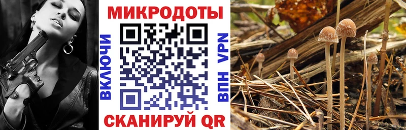 Галлюциногенные грибы Magic Shrooms  Смоленск 